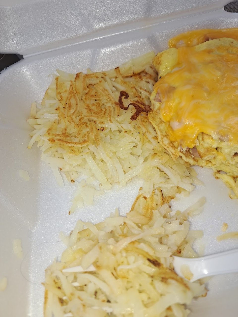 Ham and Cheese Omlette with Hair