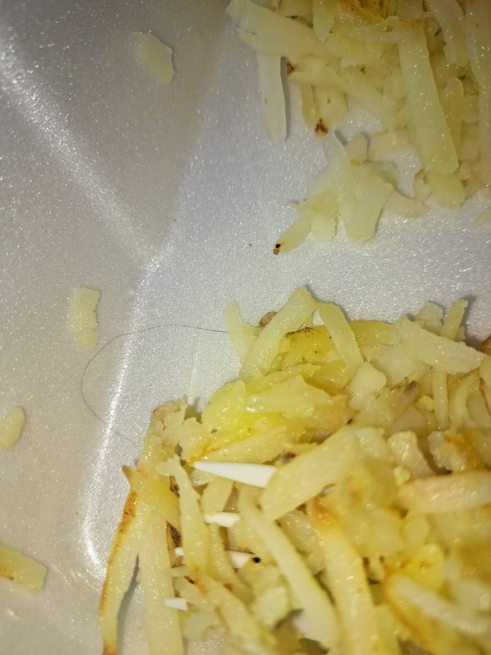 Omlete and Hashbrowns with Hair